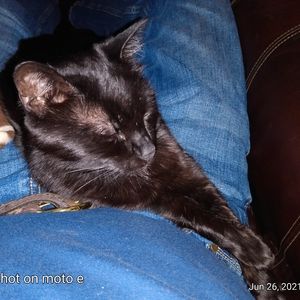 Meet your Posher, Panama